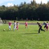 Spordipäev