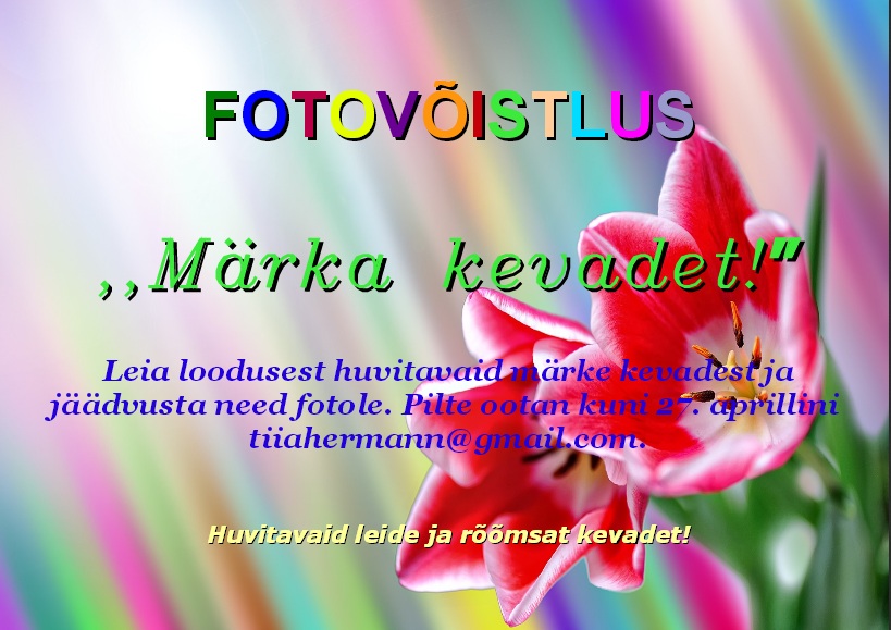 2015 fotovoistlus marka kevadet